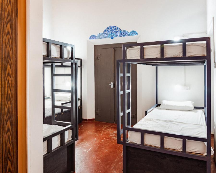 Why Not Backpackers Hostel Mirissa Kültér fotó